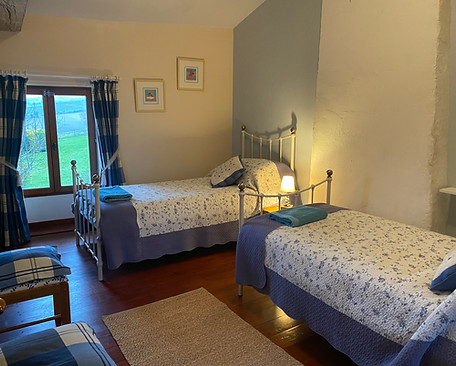 Gite Bleu Twin Bedroom 1.jpeg