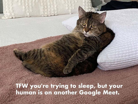 The Meme-ification of Marketing