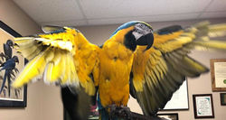 231092212_1153843911804830_2395605441352293606_n_edited