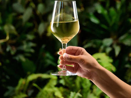 Aba + Chateau Musar Wine Dinner Event