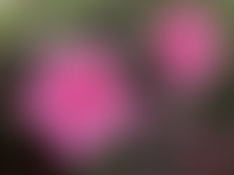 Raspberry Pi ☆ diary 5回目　