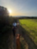 IMG_3673.jpeg