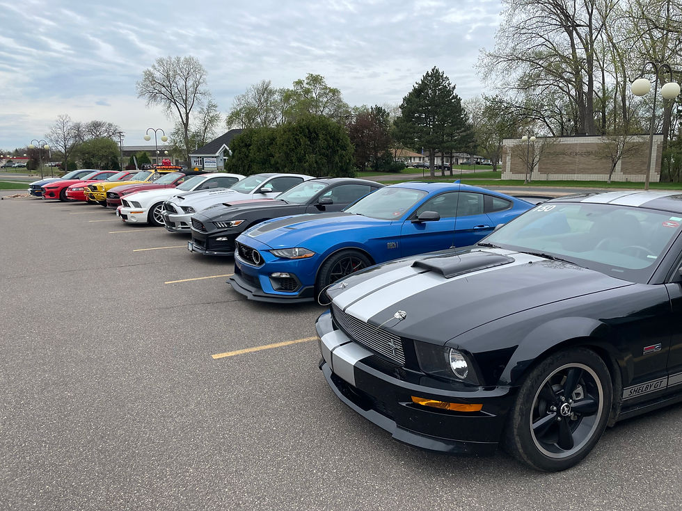 Celebrating National Mustang Day!