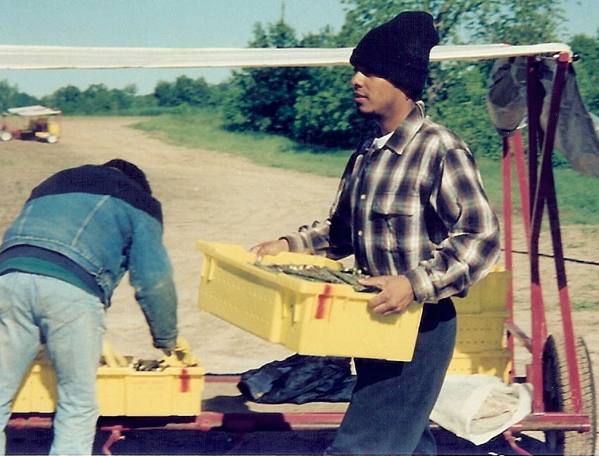 Migrant working in Michigan