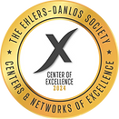 center_of_excellence_2024.png