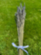 Thumbnail: Mousse Hill Lavender