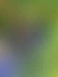 Equipe resolvendo um desafio de um treinamento ao ar livre.