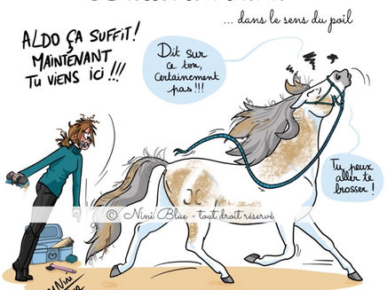 "Brosser son cheval dans le sens du poil"