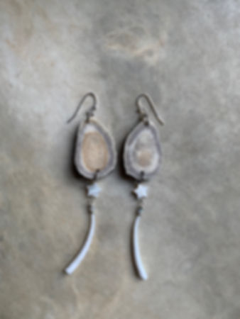 Deer Antler & Sea Shells 