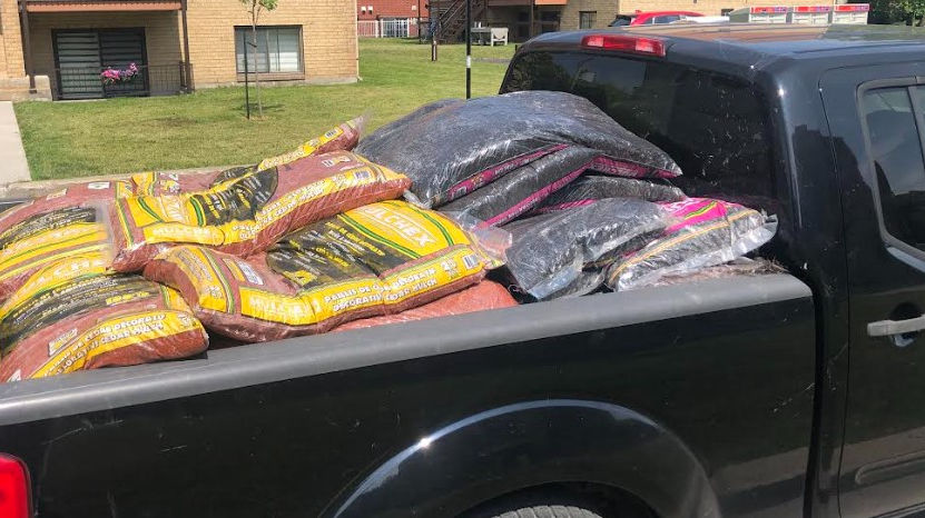 EP-PJT - Mulch 5.jpg