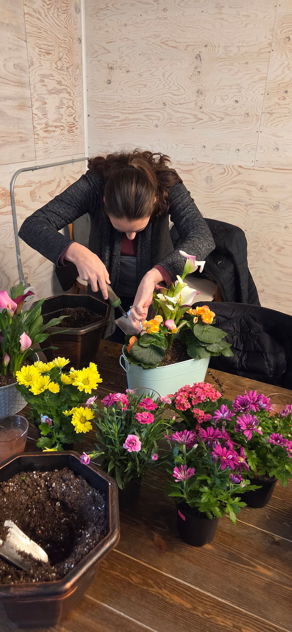 Morning Blooming Dish Gardens