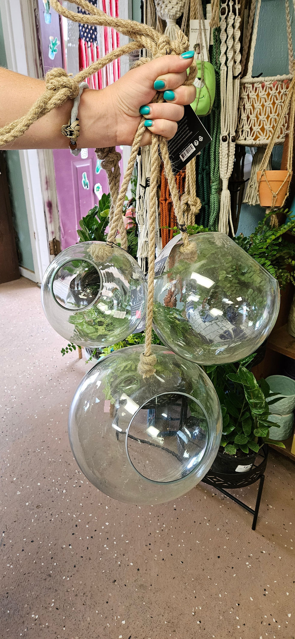 Hanging Glass Terrariums