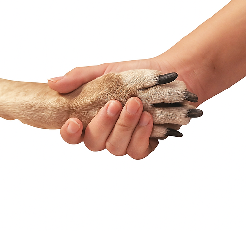 6f9403aa-2e1d-4de3-8dda-aa57446a3ed4.png