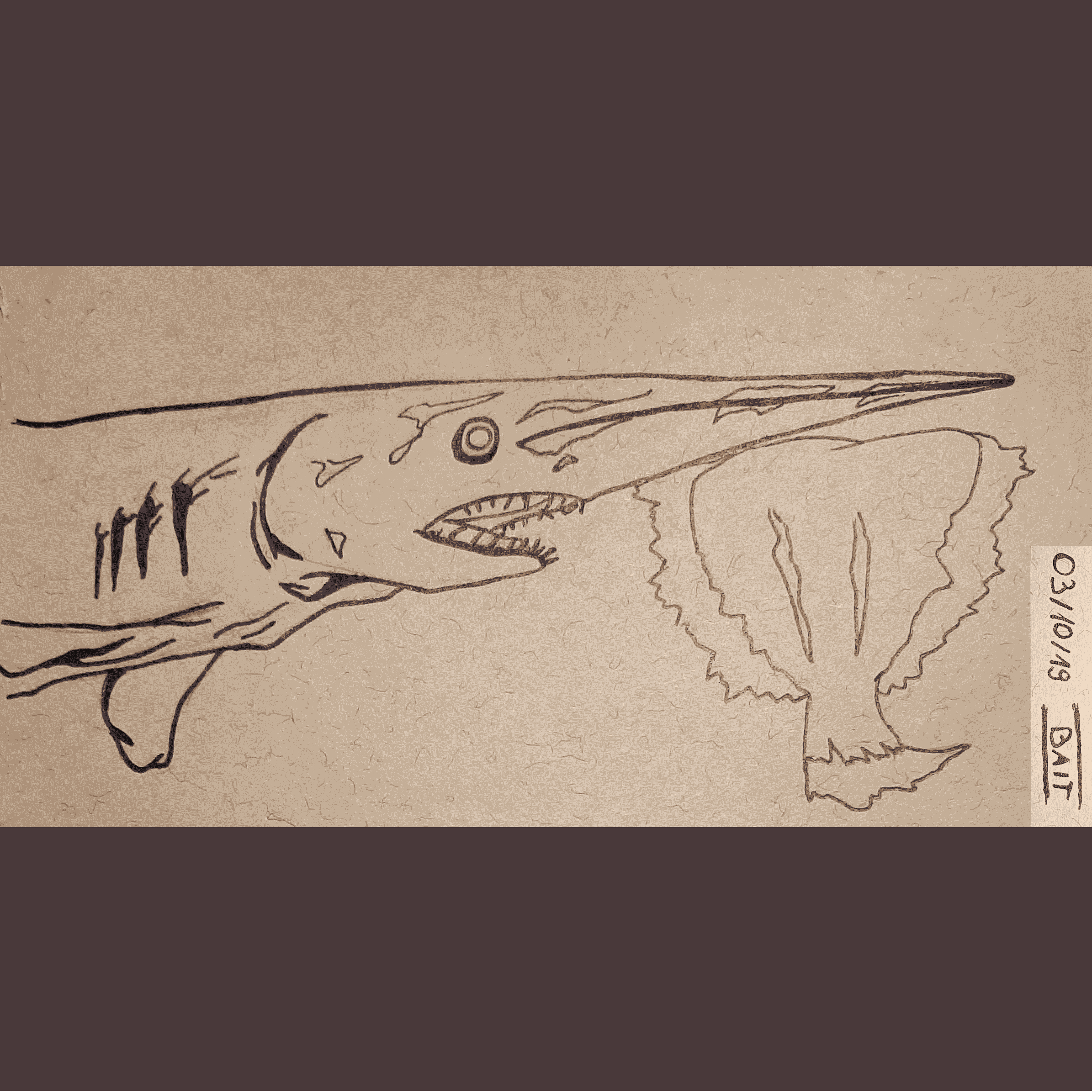 Shark-gif-fast.gif