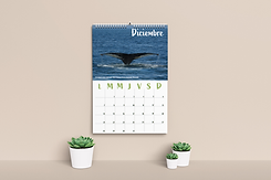 mockup calendar.png