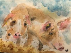 Ink & Wash - Farm Animals - Pigs