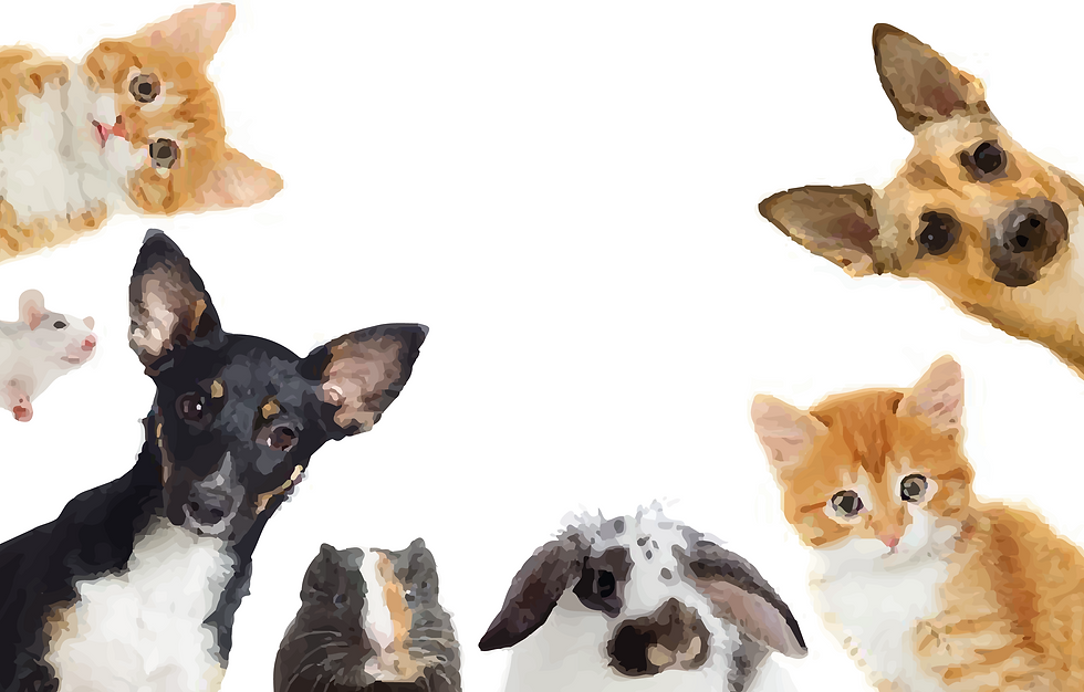 Animals Painte4d-01.png