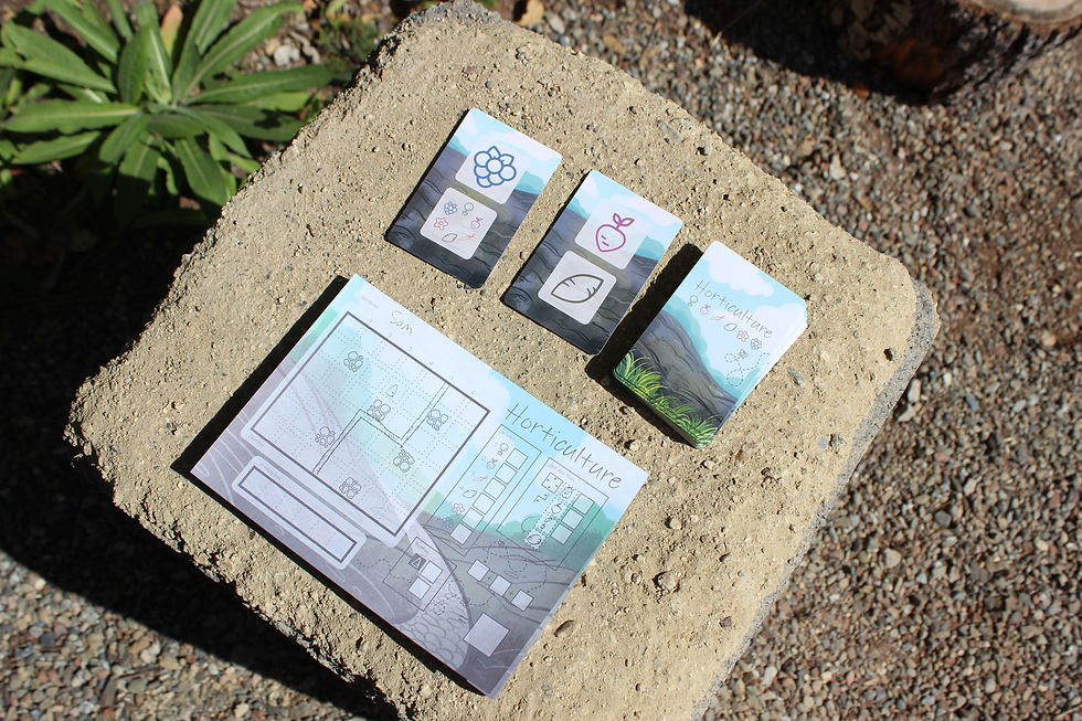 a garden sheet with a path drawn on the grid and plant cards rest on a stone bench with a garden of small plants visible in the back