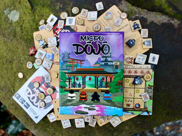 Micro Dojo - Solo Review