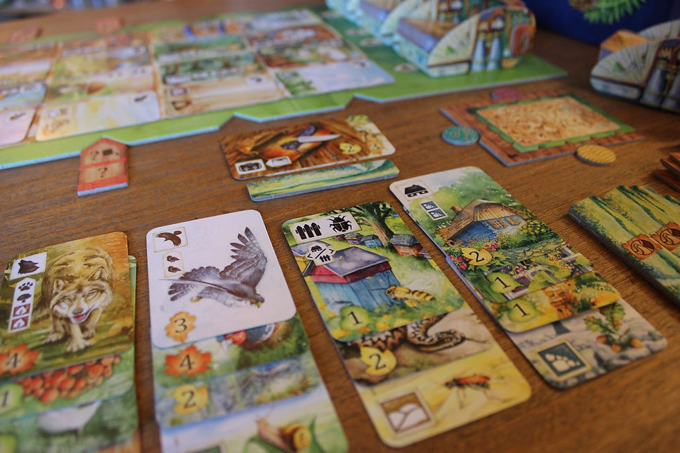 Cards and tokens showing nature and wildlife imagery