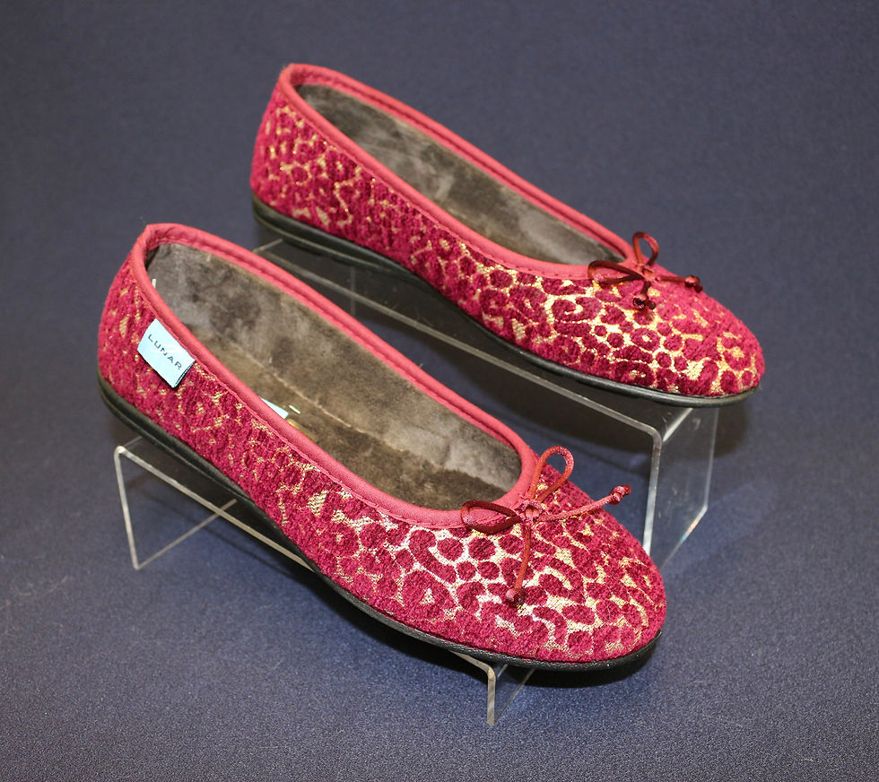 Lunar Ballet Slippers £25