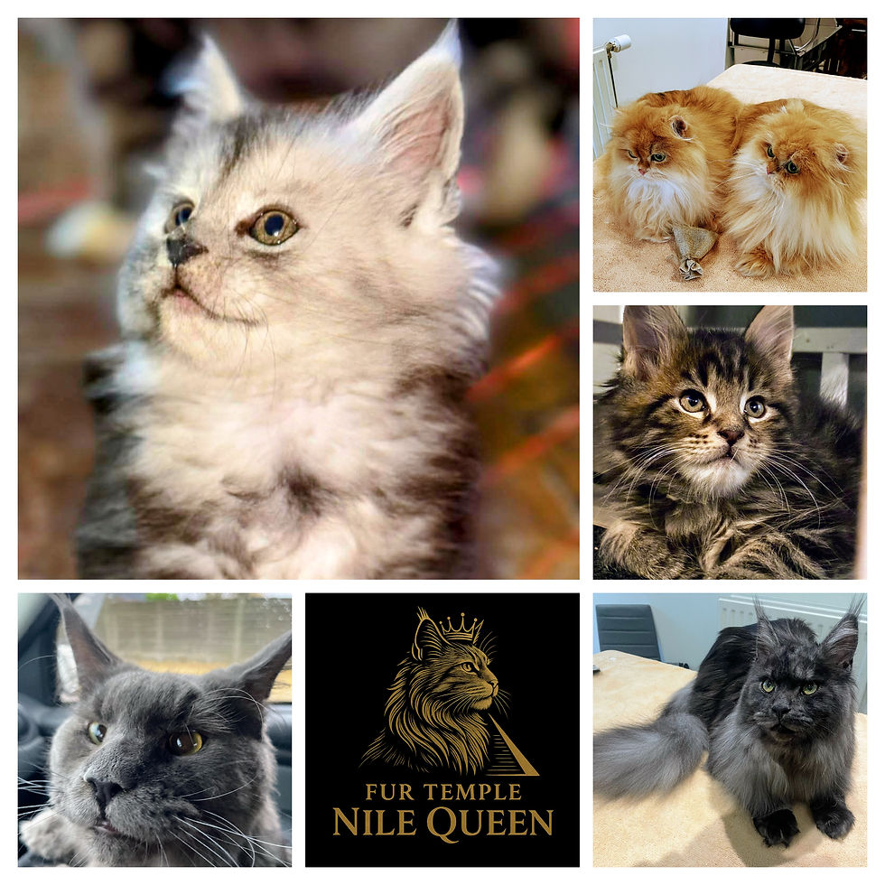 Fur Temple Nile Queen