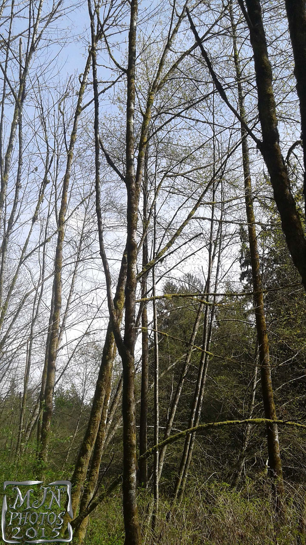 20150407_145910-b.jpg