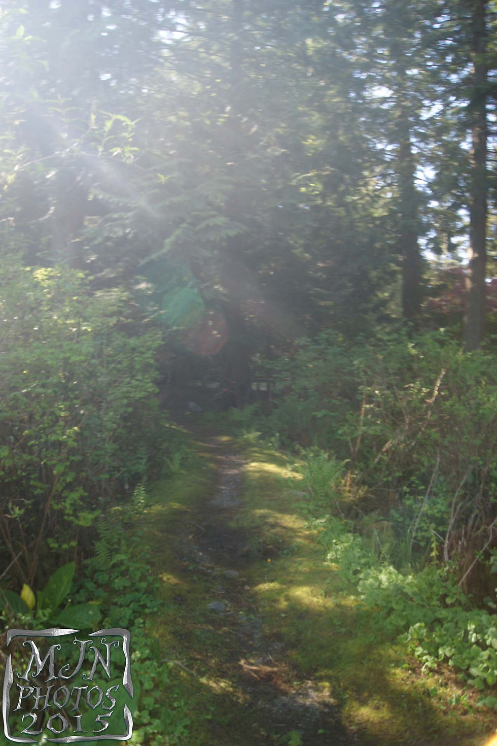 DSC09256.jpg