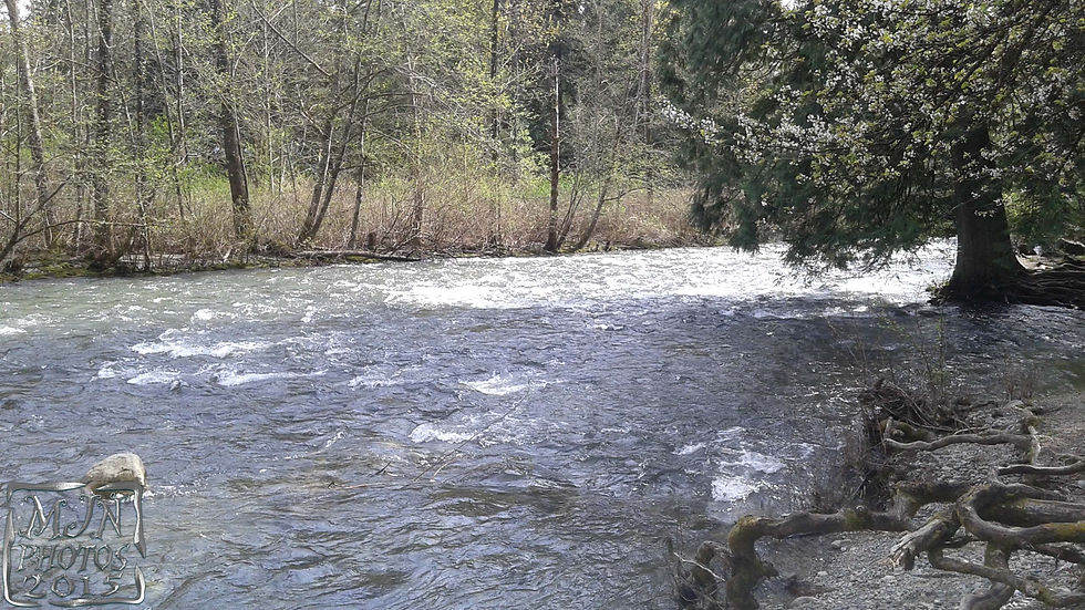 20150407_142414-b.jpg