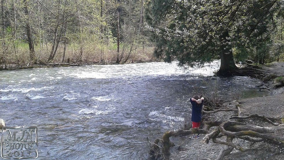 20150407_142424-b.jpg