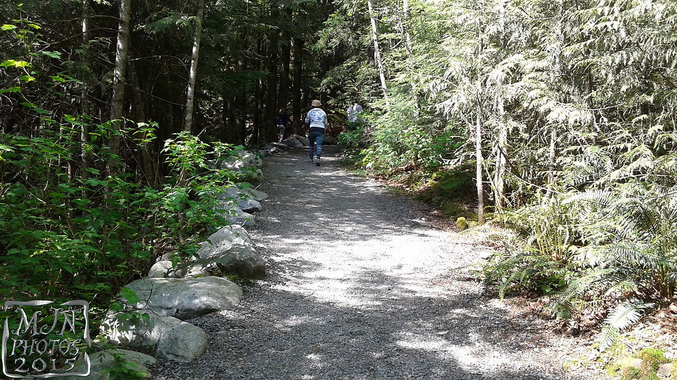 20150503_150213-b.jpg
