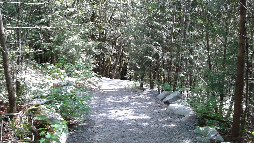 20150503_150220-b.jpg