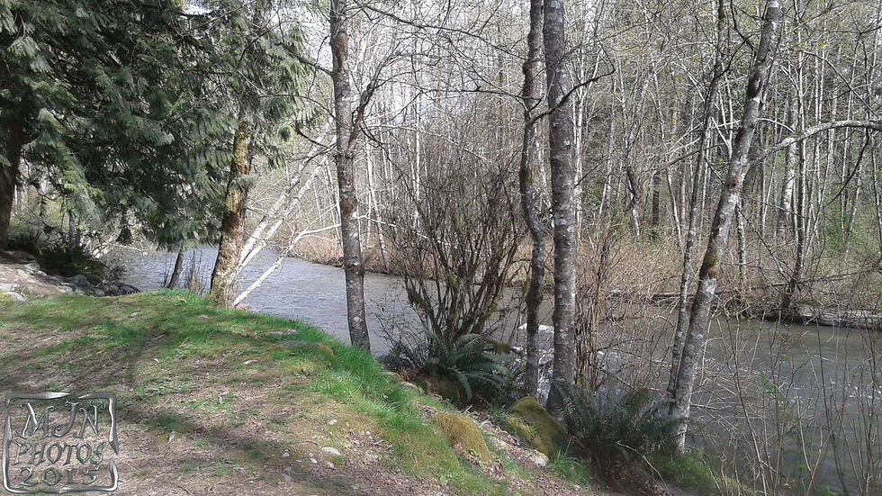 20150407_145404-b.jpg