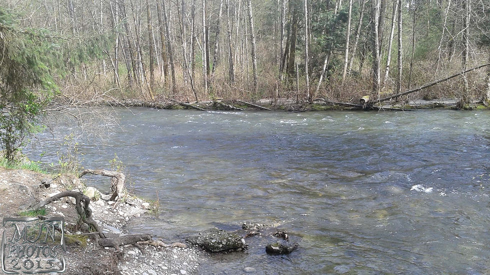 20150407_142400-b.jpg
