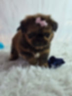 WhatsApp Image 2026-01-26 at 5.48.29 PM.jpeg