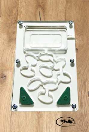 Miniature : Kit d'élevage Messor barbarus (idéal pour commencer)