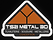 LOGO TS2I METAL 3D
