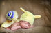 錯過了會很可惜的 Newborn baby photography