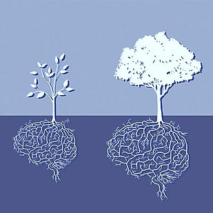 How_a_brain_is_like_a_tree_edited_edited