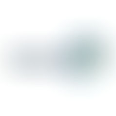 Tweede sponsorchallenge