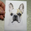 Thumbnail: French Bulldog Cards- different colors