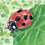 Thumbnail: Lady Bug Print (with shimmering paint)