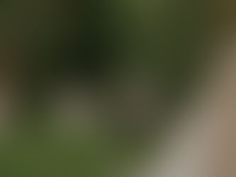 What to Expect: Yoga Retreats