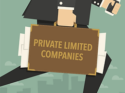 private-limited-company-500x500.png