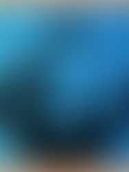 Nine Lessons and Carols, Sunday 6.30pm