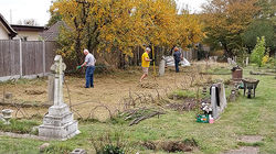 Wild Meadow Area Prep (4 of 8) 96ppi