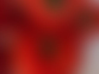若ヨッシーのトマト🍅