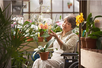 Wheelchair Transportation for maintaining independent living