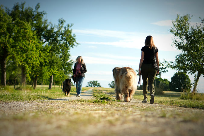 Zwei Frauen mit Hund begegnen sich auf einem Weg, Hundebegegnung, Hundespaziergang