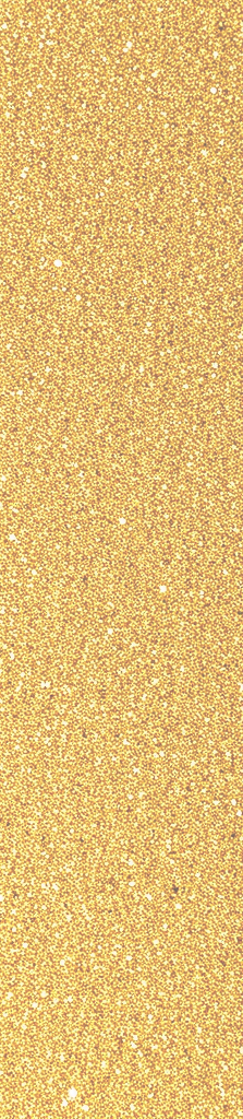 90s gold glitter background_edited.png